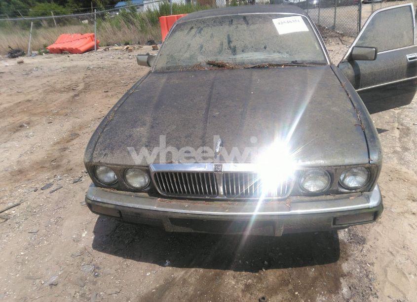 Photo 6 of 1988 Jaguar Xj6 (VIN SAJHV1648JC540850)