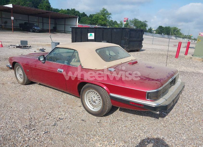 Photo 3 of 1993 Jaguar Xjs (VIN SAJNW4744PC186804)