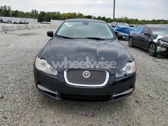 Photo 3 of 2009 JAGUAR XF LUXURY (VIN SAJWA05B59HR15198)