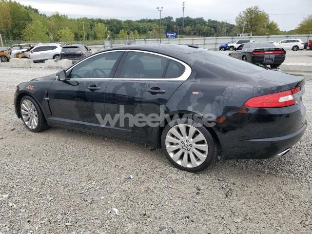 Photo 9 of 2009 JAGUAR XF LUXURY (VIN SAJWA05B59HR15198)