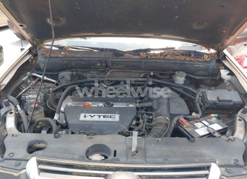 Photo 10 of 2003 Honda Cr-v EX (VIN SHSRD788X3U103844)