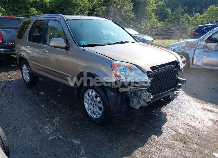 2006 Honda Cr-v SE (VIN SHSRD78916U428637) main photo