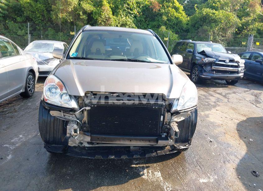 Photo 12 of 2006 Honda Cr-v SE (VIN SHSRD78916U428637)