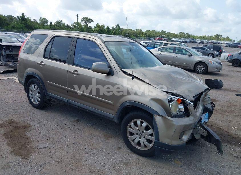 2006 Honda Cr-v SE (VIN SHSRD78956U428463) main photo