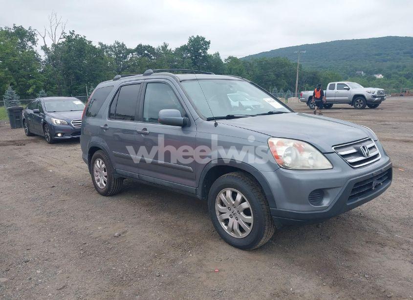 2006 Honda Cr-v SE (VIN SHSRD78986U438310) main photo