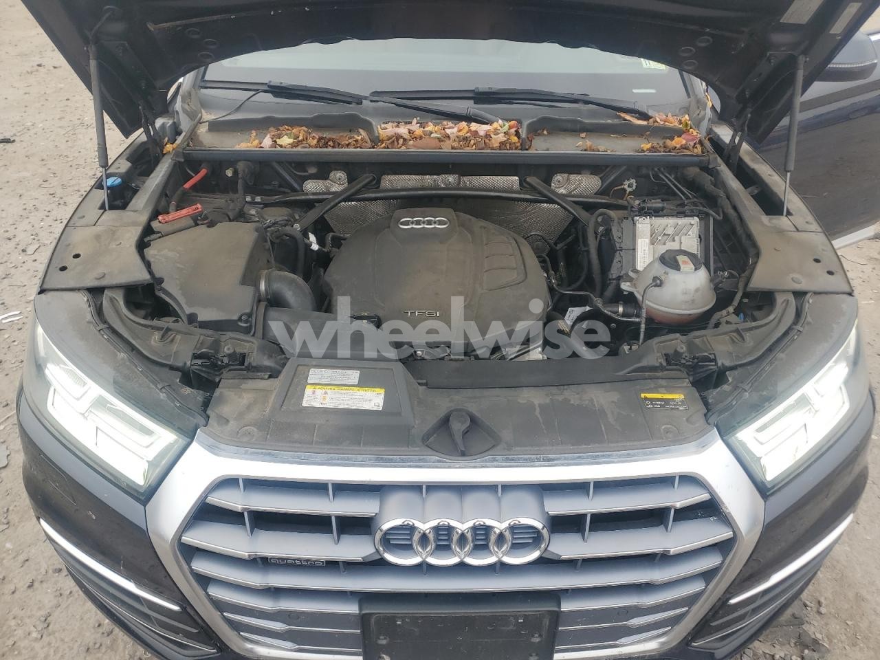 Photo 12 of 2019 AUDI Q5 PREMIUM PLUS N/A (VIN WA1BNAFY1K2142775)