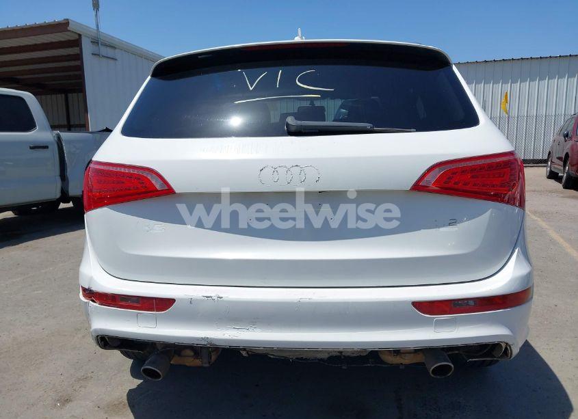 Photo 12 of 2010 Audi Q5 3.2 PREMIUM (VIN WA1MKAFPXAA015021)