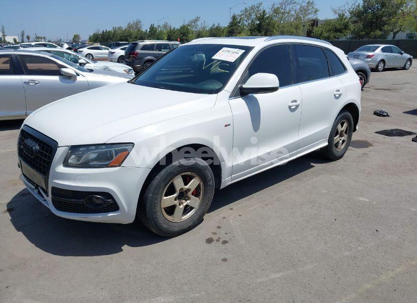 Photo 2 of 2010 Audi Q5 3.2 PREMIUM (VIN WA1MKAFPXAA015021)