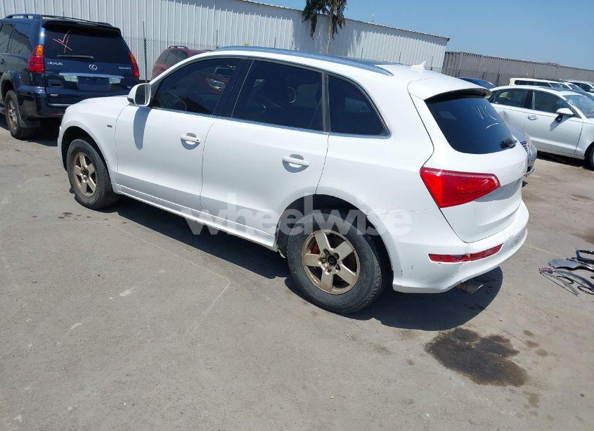 Photo 3 of 2010 Audi Q5 3.2 PREMIUM (VIN WA1MKAFPXAA015021)