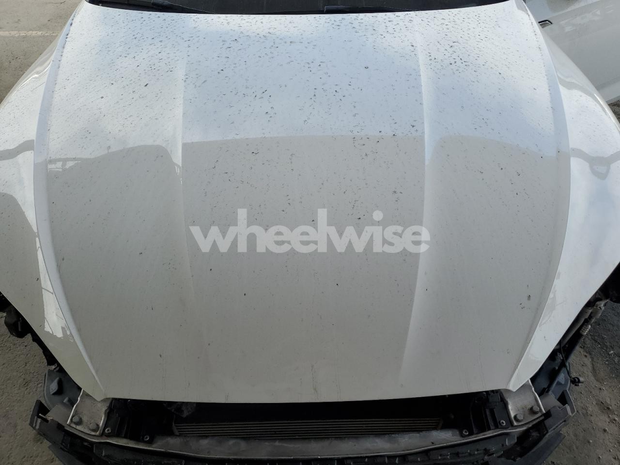 Photo 11 of 2019 AUDI A5 PREMIUM PLUS (VIN WAUBNCF57KA091423)