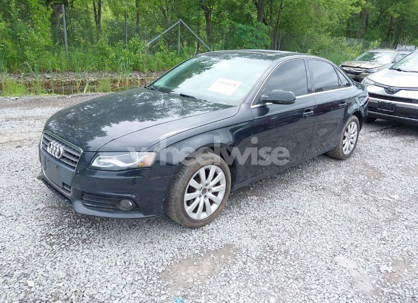 Photo 2 of 2011 Audi A4 2.0T PREMIUM (VIN WAUFFAFL1BN004206)