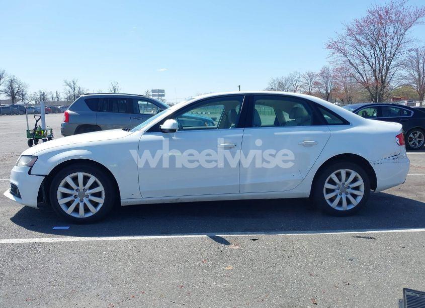 Photo 14 of 2011 Audi A4 2.0T PREMIUM (VIN WAUFFAFL2BA091511)