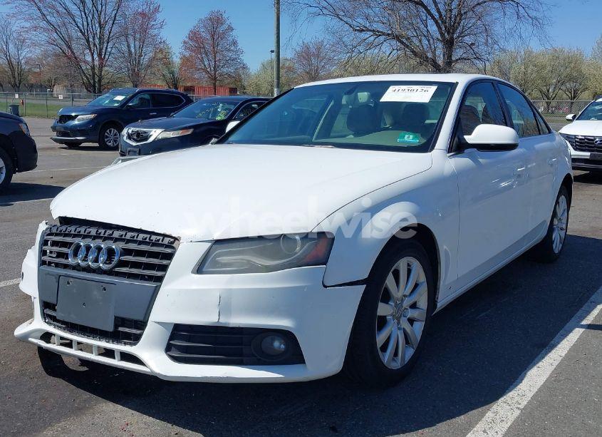 Photo 2 of 2011 Audi A4 2.0T PREMIUM (VIN WAUFFAFL2BA091511)