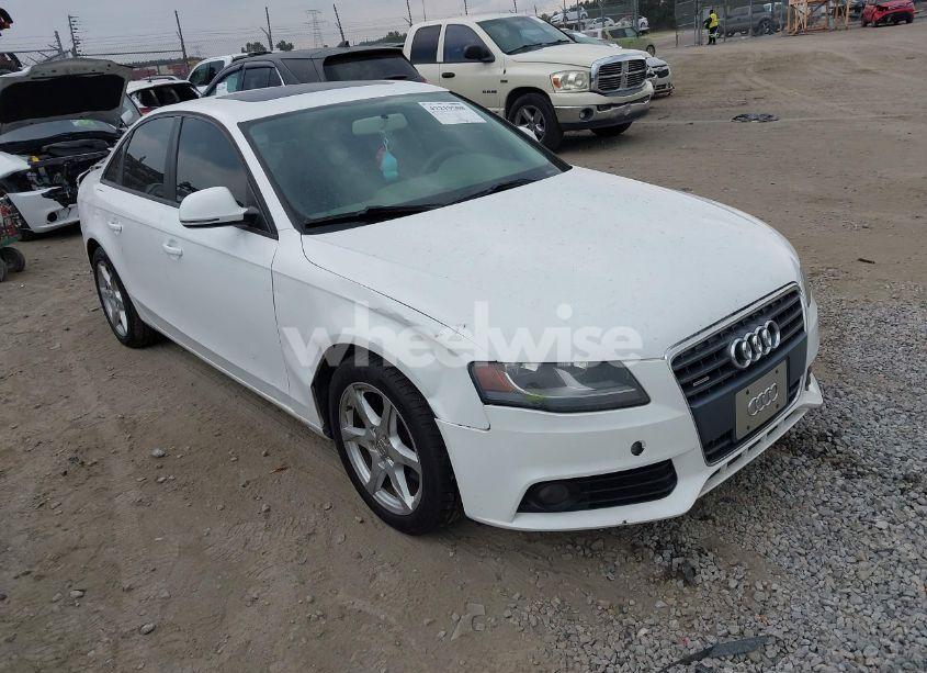 2009 Audi A4 2.0T PREMIUM (VIN WAULF78KX9N035426) main photo