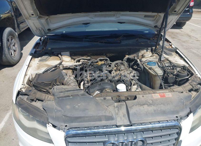 Photo 10 of 2009 Audi A4 2.0T PREM PLUS/2.0T PREMIUM (VIN WAUSF78K89A113964)