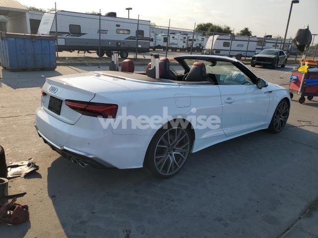 2024 AUDI S5 PREMIUM PLUS N/A (VIN WAUW4GF59RN008864) main photo