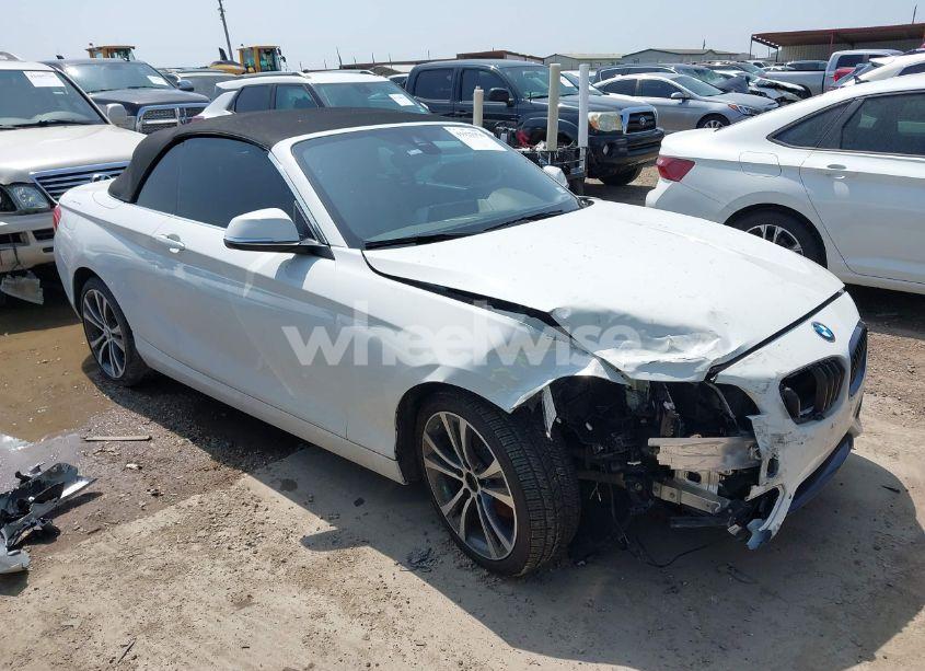 2019 Bmw 230i (VIN WBA2M7C56KVD52017) main photo