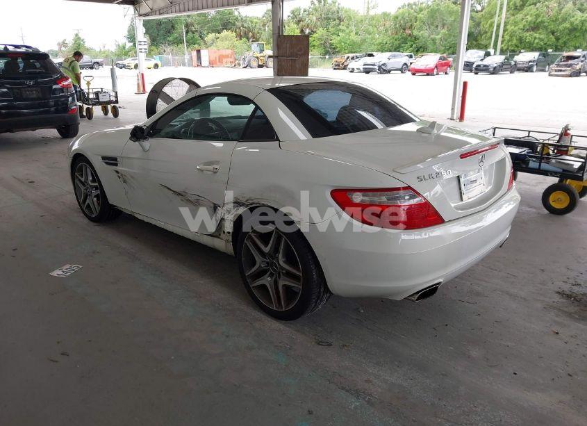 Photo 3 of 2013 Mercedes-benz Slk 250 (VIN WDDPK4HA2DF058309)