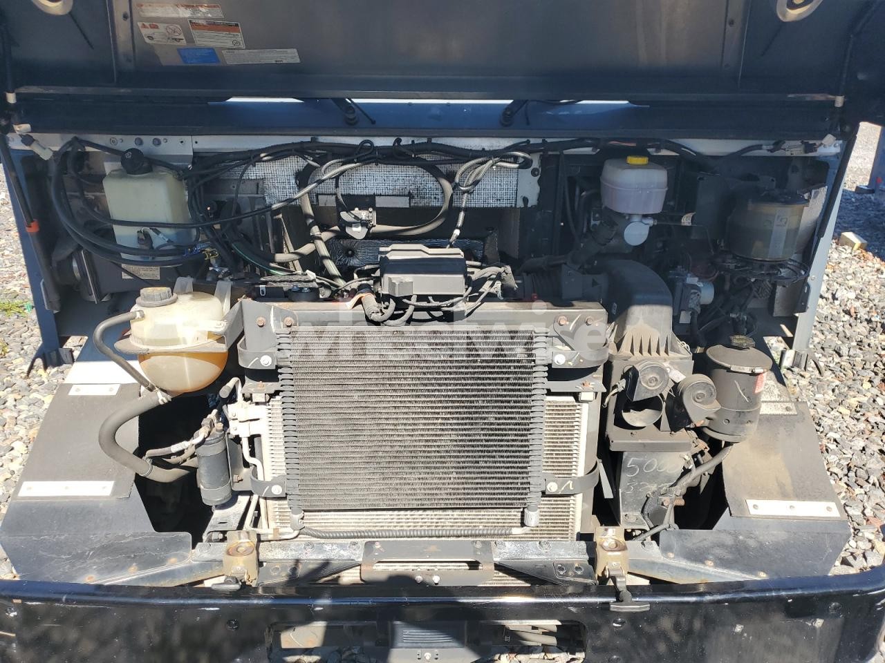 Photo 11 of 2021 FORD F59 N/A (VIN WF0AXXWPMAFL09811)