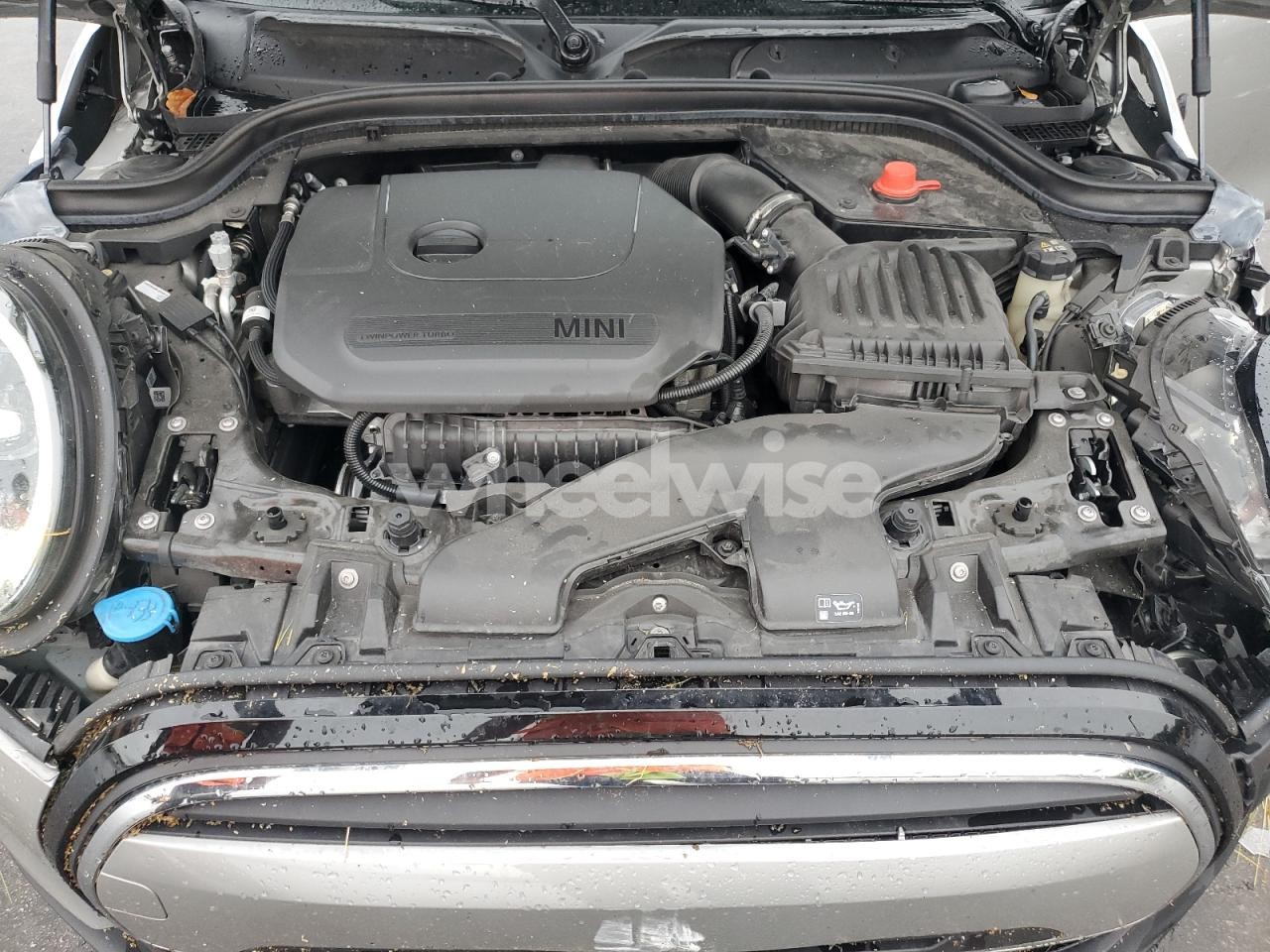 Photo 11 of 2024 MINI COOPER N/A (VIN WMW33DK07R2V76269)