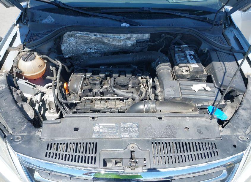 Photo 10 of 2009 Volkswagen Tiguan S/SE/SEL (VIN WVGAV75N19W504095)