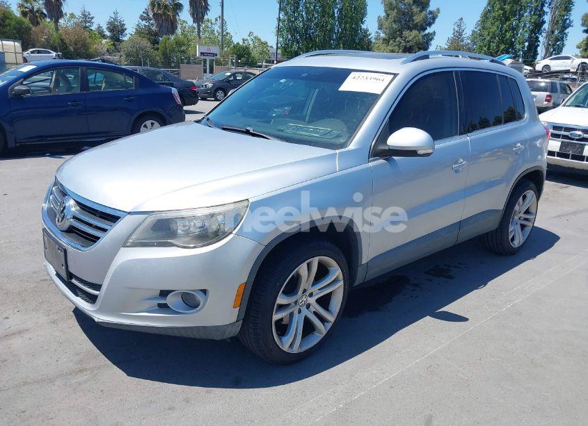 Photo 2 of 2009 Volkswagen Tiguan S/SE/SEL (VIN WVGAV75N19W504095)