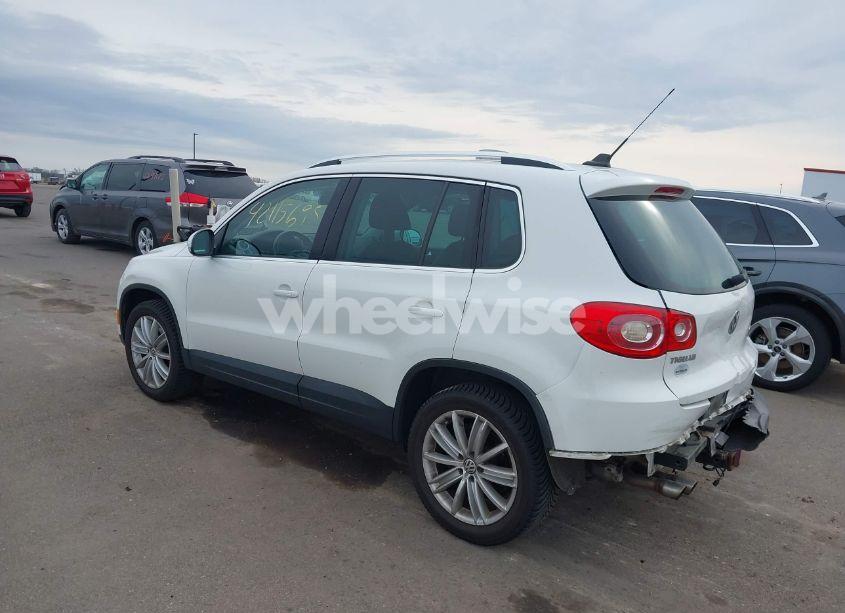 Photo 3 of 2011 Volkswagen Tiguan SEL (VIN WVGAV7AX7BW516541)