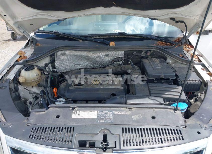 Photo 10 of 2009 Volkswagen Tiguan SEL (VIN WVGBV75N59W528596)