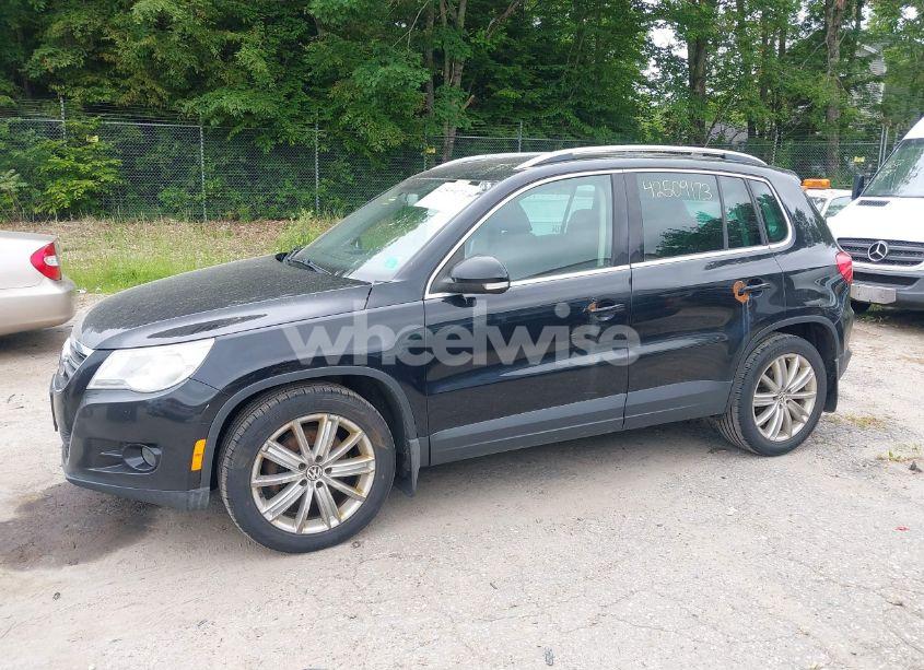 Photo 12 of 2009 Volkswagen Tiguan SE/SEL (VIN WVGBV75N99W502051)