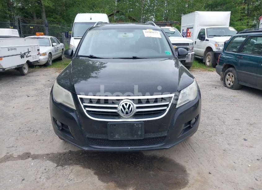 Photo 13 of 2009 Volkswagen Tiguan SE/SEL (VIN WVGBV75N99W502051)