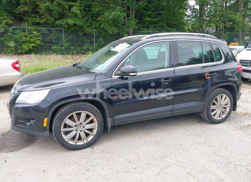 Photo 16 of 2009 Volkswagen Tiguan SE/SEL (VIN WVGBV75N99W502051)