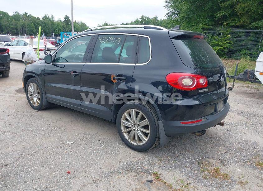 Photo 3 of 2009 Volkswagen Tiguan SE/SEL (VIN WVGBV75N99W502051)