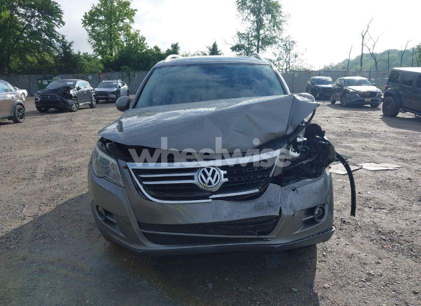 Photo 12 of 2009 Volkswagen Tiguan SE/SEL (VIN WVGBV95N59W500115)