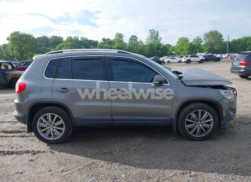 Photo 13 of 2009 Volkswagen Tiguan SE/SEL (VIN WVGBV95N59W500115)