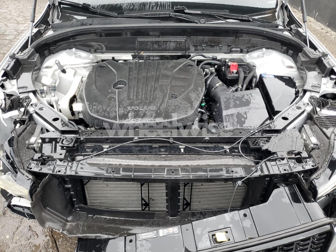 Photo 12 of 2025 VOLVO XC60 PLUS (VIN YV4M12RC0S1183241)