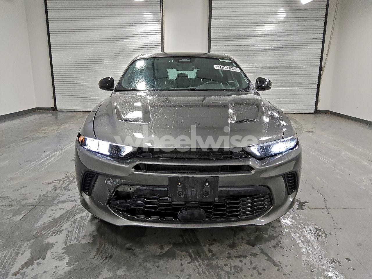 Photo 5 of 2024 DODGE HORNET R/T (VIN ZACPDFCWXR3A28280)