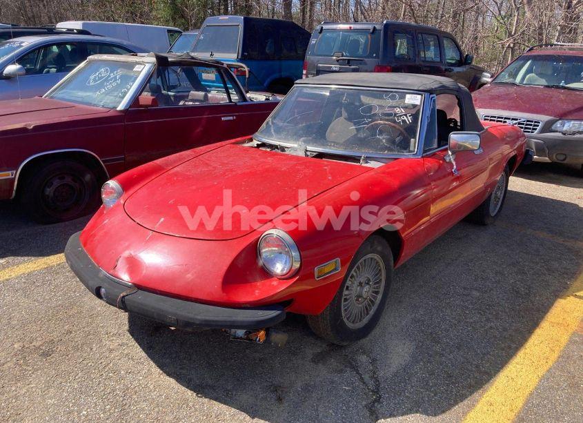 Photo 2 of 1981 Alfa Romeo VELOCE SPIDER (VIN ZARBA5410B1012836)