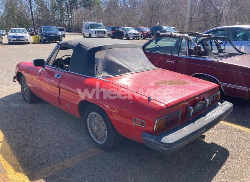 Photo 3 of 1981 Alfa Romeo VELOCE SPIDER (VIN ZARBA5410B1012836)