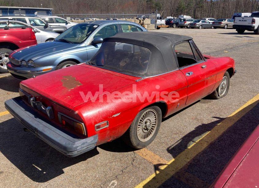 Photo 4 of 1981 Alfa Romeo VELOCE SPIDER (VIN ZARBA5410B1012836)