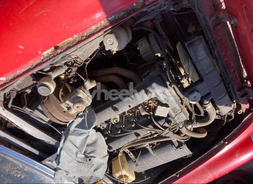 Photo 9 of 1981 Alfa Romeo VELOCE SPIDER (VIN ZARBA5410B1012836)