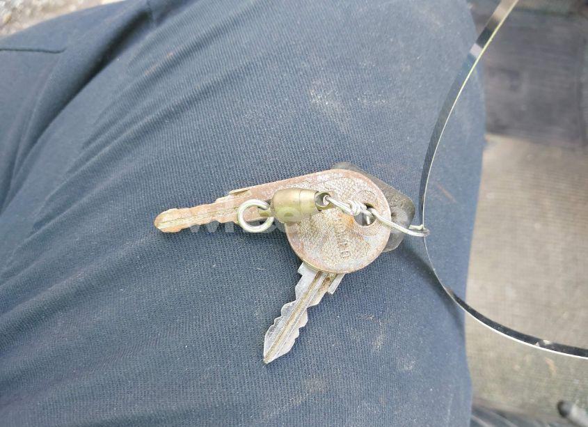 Photo 11 of 1983 Alfa Romeo VELOCE SPIDER (VIN ZARBA5411D1016042)