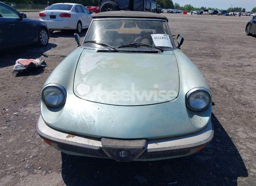 Photo 12 of 1983 Alfa Romeo VELOCE SPIDER (VIN ZARBA5411D1016042)