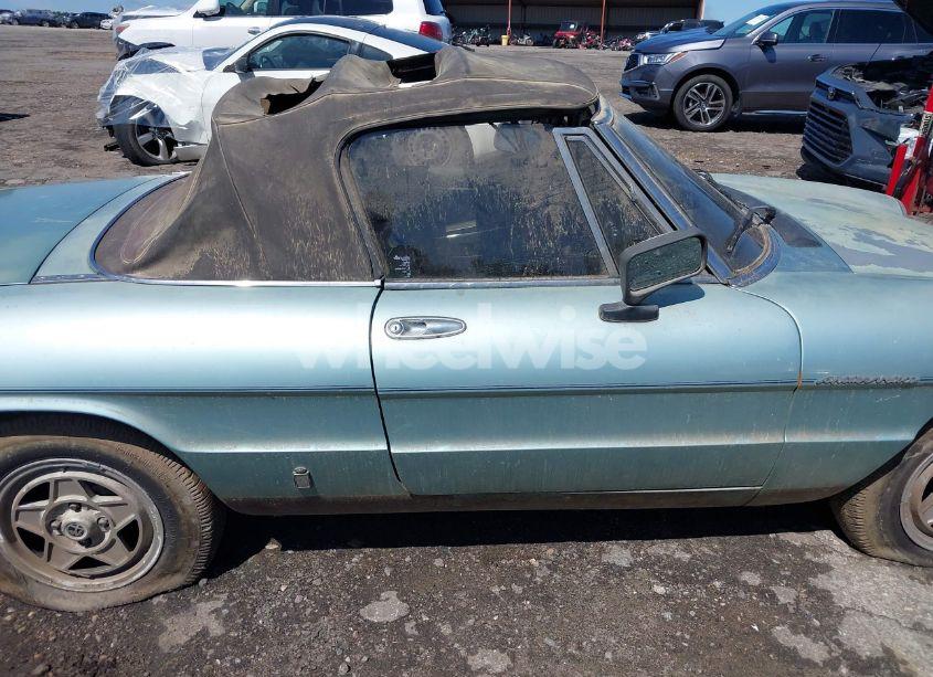 Photo 13 of 1983 Alfa Romeo VELOCE SPIDER (VIN ZARBA5411D1016042)