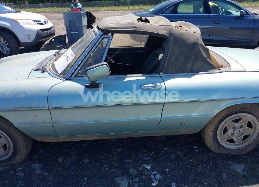 Photo 14 of 1983 Alfa Romeo VELOCE SPIDER (VIN ZARBA5411D1016042)