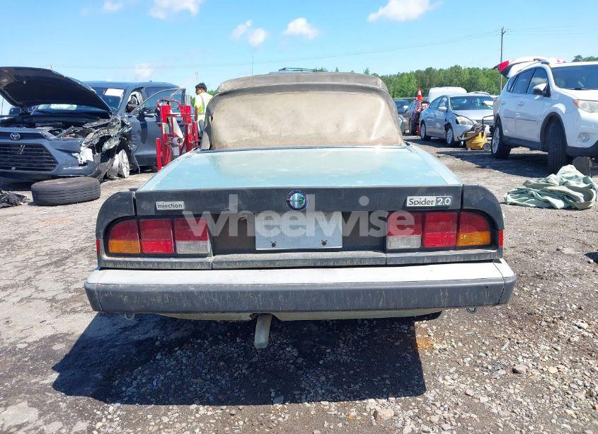 Photo 16 of 1983 Alfa Romeo VELOCE SPIDER (VIN ZARBA5411D1016042)