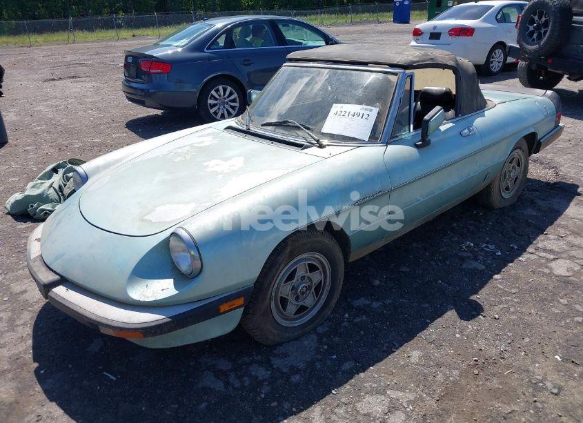 Photo 2 of 1983 Alfa Romeo VELOCE SPIDER (VIN ZARBA5411D1016042)