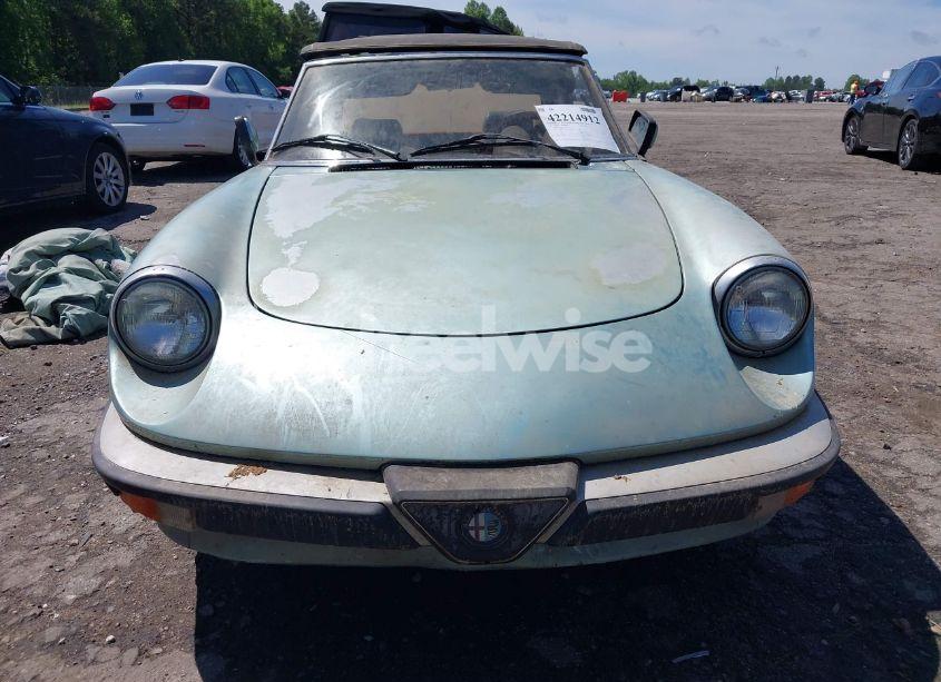Photo 6 of 1983 Alfa Romeo VELOCE SPIDER (VIN ZARBA5411D1016042)