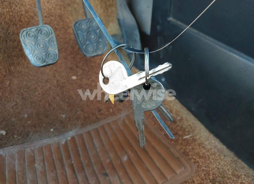 Photo 11 of 1981 Alfa Romeo VELOCE SPIDER (VIN ZARBA5414B1012645)