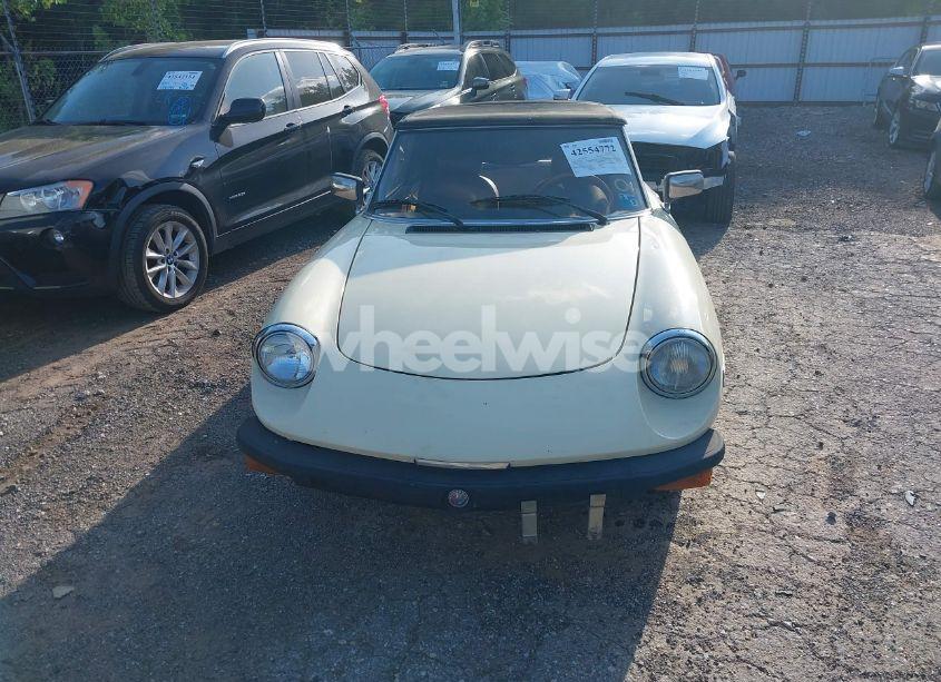 Photo 12 of 1981 Alfa Romeo VELOCE SPIDER (VIN ZARBA5414B1012645)