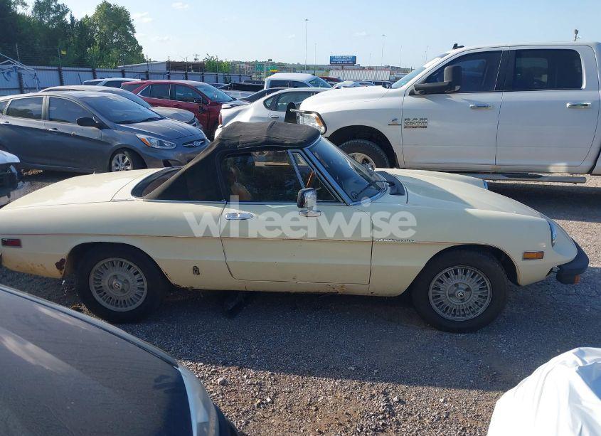Photo 13 of 1981 Alfa Romeo VELOCE SPIDER (VIN ZARBA5414B1012645)